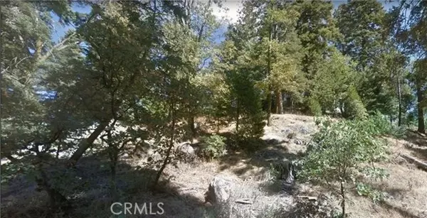 Cedarpines Park, CA 92322,0 Fir Street