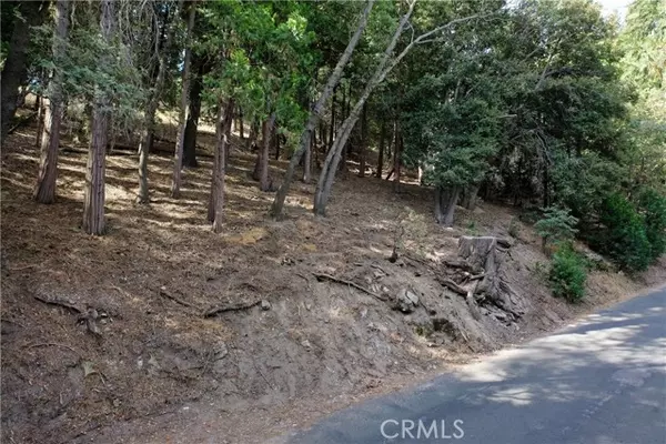 Crestline, CA 92325,127 Lot 127 Basel Drive