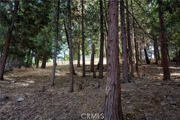 Crestline, CA 92325,127 Lot 127 Basel Drive