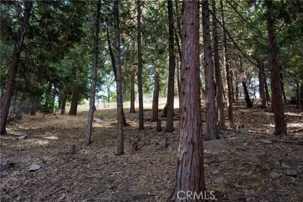 Crestline, CA 92325,127 Lot 127 Basel Drive