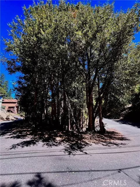 Lake Arrowhead, CA 92352,0 Rock Ridge Way