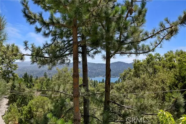 Lake Arrowhead, CA 92352,27696 St Bernard Lane