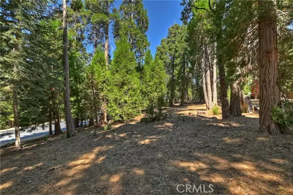 Lake Arrowhead, CA 92352,388 Cedar Ridge Drive