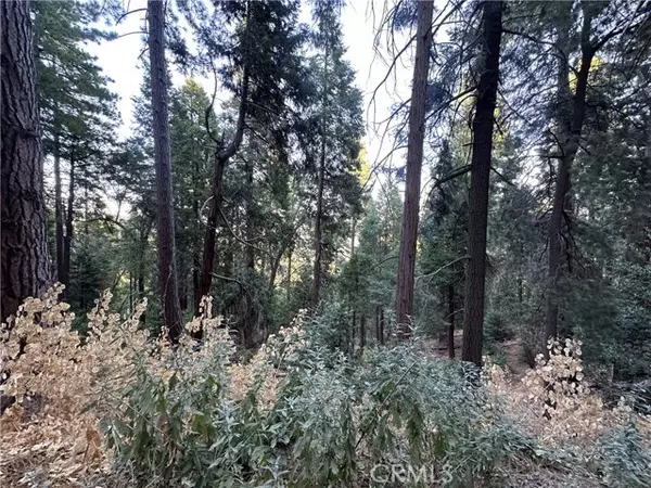 Cedarpines Park, CA 92322,0 Reservoir Road