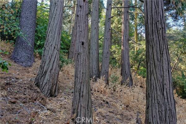 33 Lot 33 Bernard Drive, Crestline, CA 92325