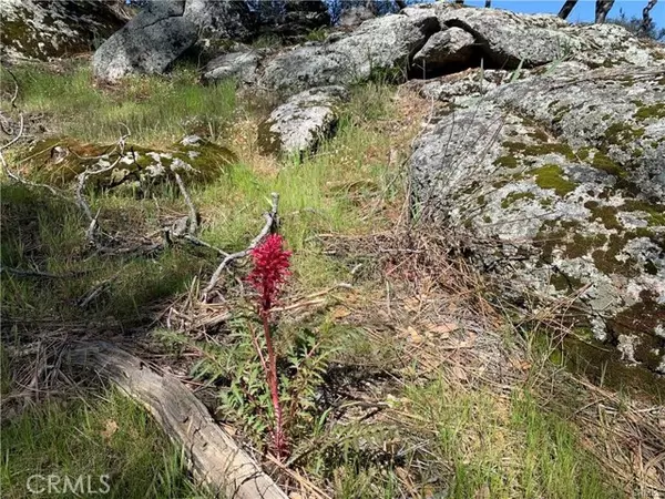 Coarsegold, CA 93614,123 Quartz Mountain