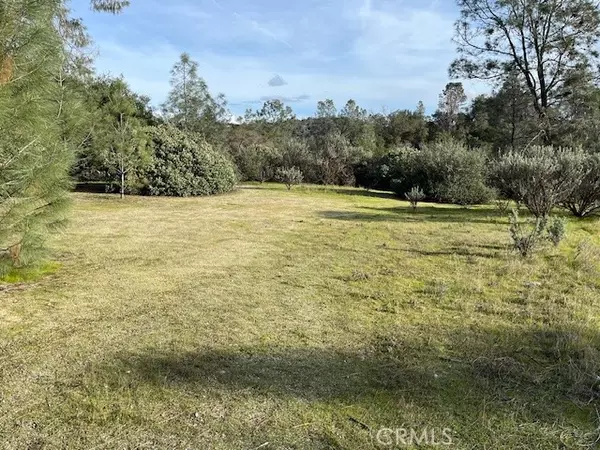 0 S Long Hollow Court, Coarsegold, CA 93614