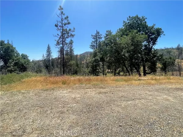 Mariposa, CA 95338,6264 Jerseydale Road