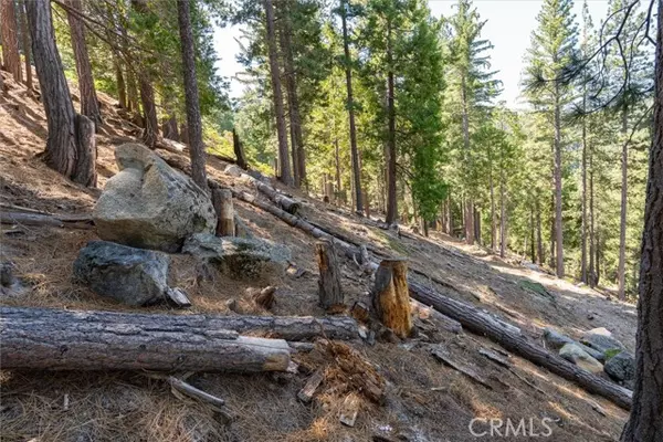 Merced, CA 95389,7477 Yosemite Park Way