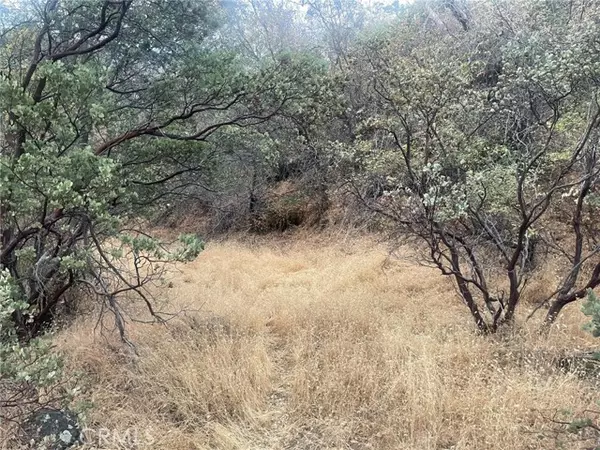 Ahwahnee, CA 93601,43020 Apache Ranch Road