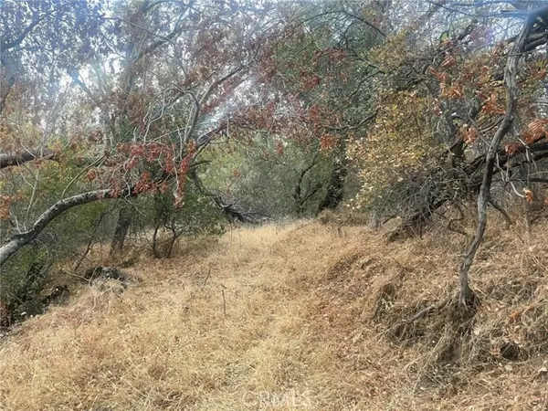 Ahwahnee, CA 93601,43020 Apache Ranch Road