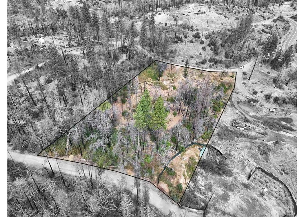 33 Pine Tree Lane, Berry Creek, CA 95916
