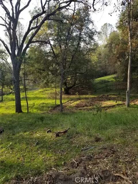 Oakhurst, CA 93644,1 Oak Lane