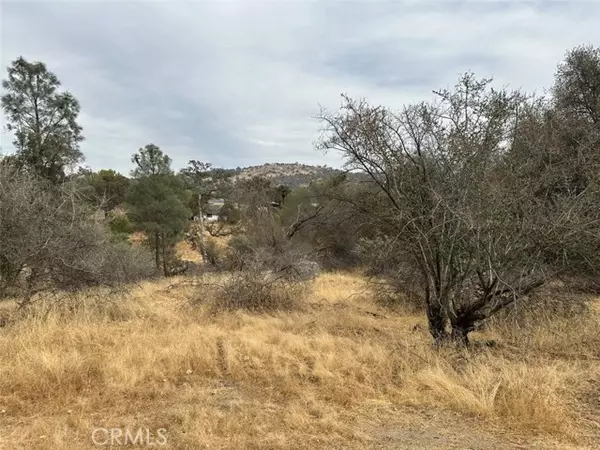 Coarsegold, CA 93614,0 Jim Bowie Court