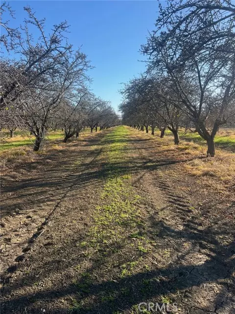 Firebaugh, CA 93622,1 American Avenue