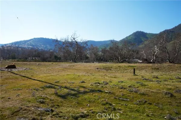 333 Lot, Live Oak Dr, Sanger, CA 93657