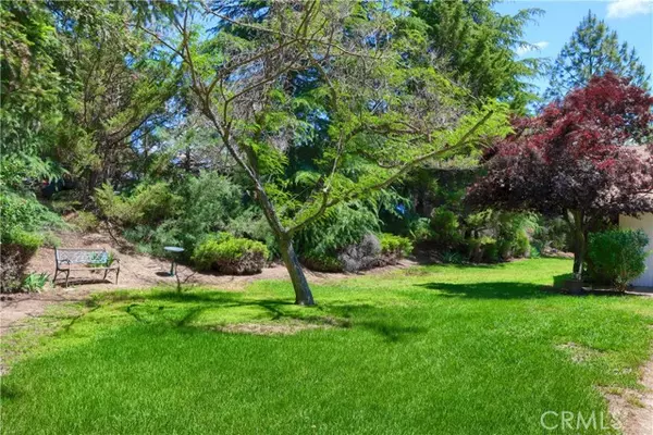 Ahwahnee, CA 93601,42177 Lone Olive Lane