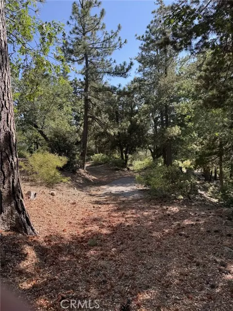 Angelus Oaks, CA 92305,0 Ca-38