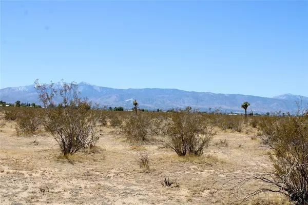 Phelan, CA 92371,0 Victor Street