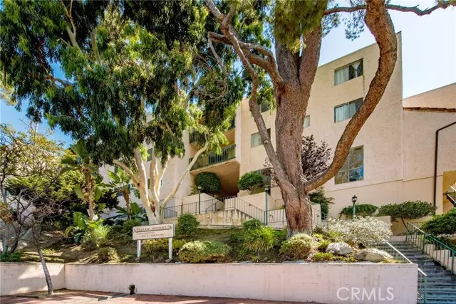 Glendale, CA 91208,2940 N Verdugo Road #311