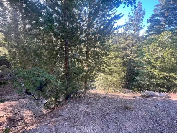 Cedar Glen, CA 92321,3300330 Elder Drive