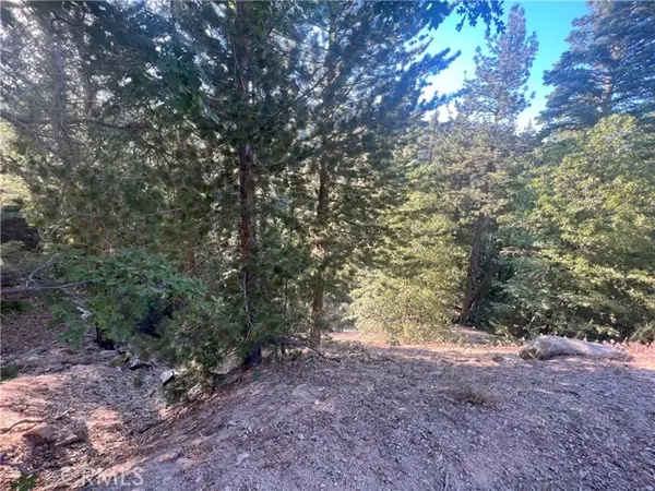 Cedar Glen, CA 92321,3300330 Elder Drive