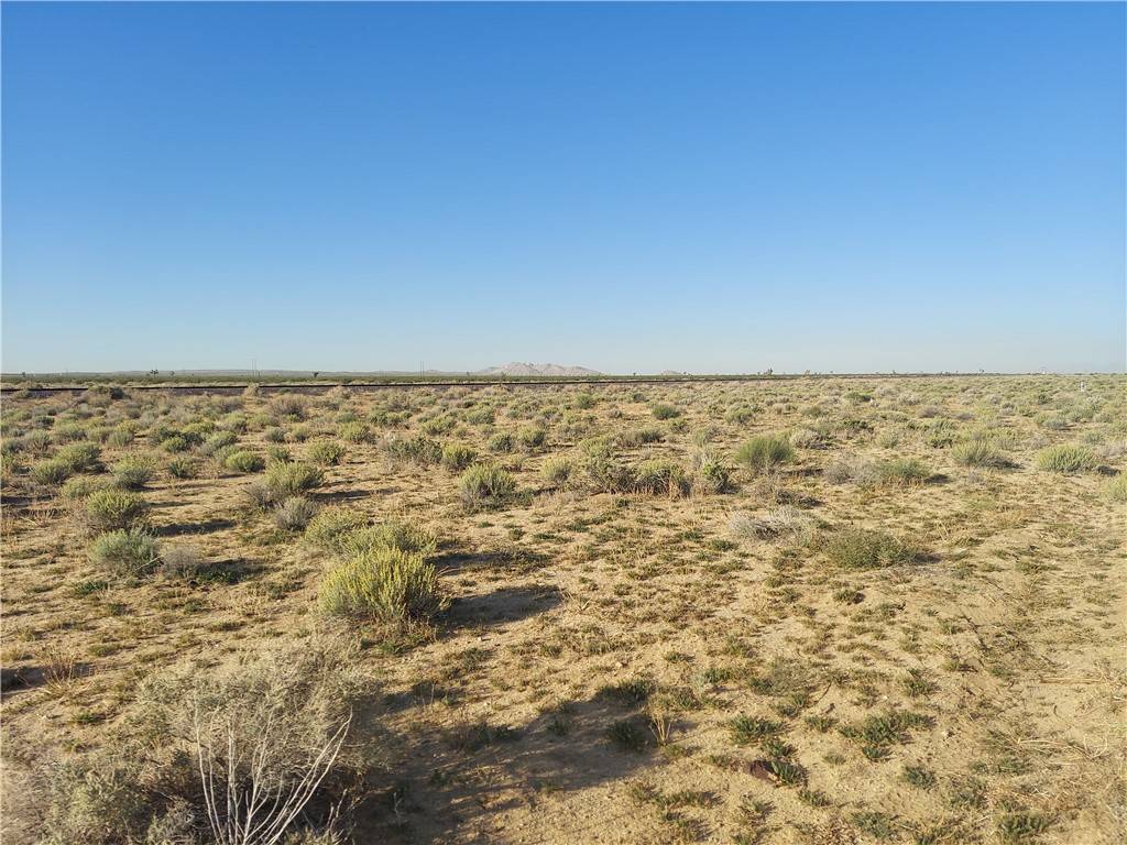 Boron, CA 93516,0 Twenty Mule Team Rd #1