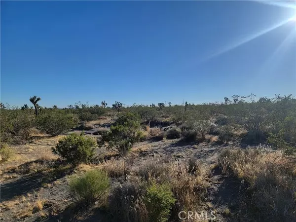 Pinon Hills, CA 92372,0 Buckwheat Road