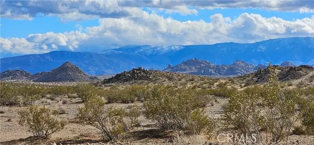 Lucerne Valley, CA 92356,800 Jackmani Avenue