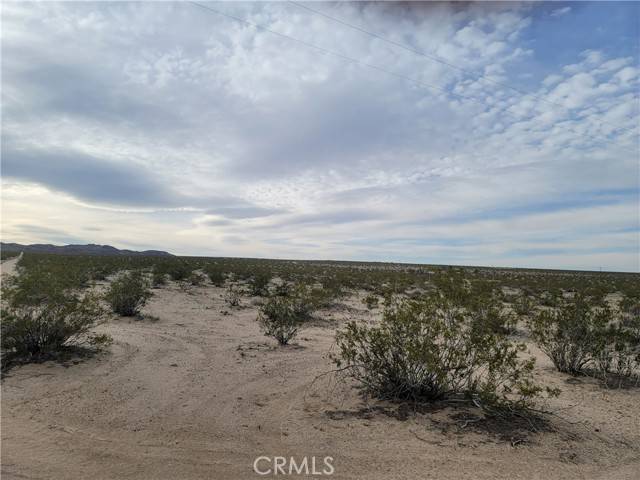 0 Palmyra, Joshua Tree, CA 92252