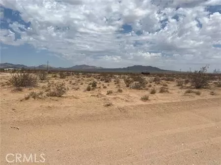 Lucerne Valley, CA 92356,0 Rock Rose