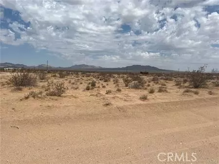 Lucerne Valley, CA 92356,0 Rock Rose