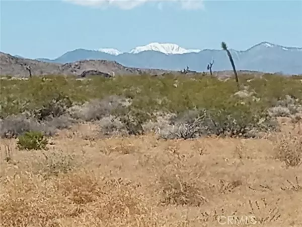 Landers, CA 92285,408 Stable Road