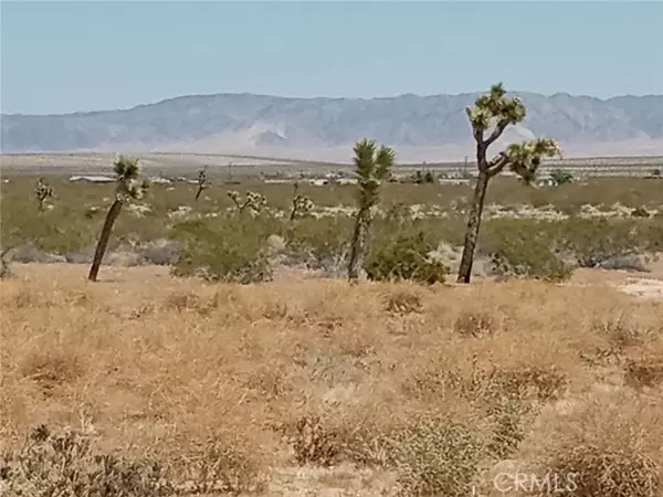 Landers, CA 92285,408 Stable Road