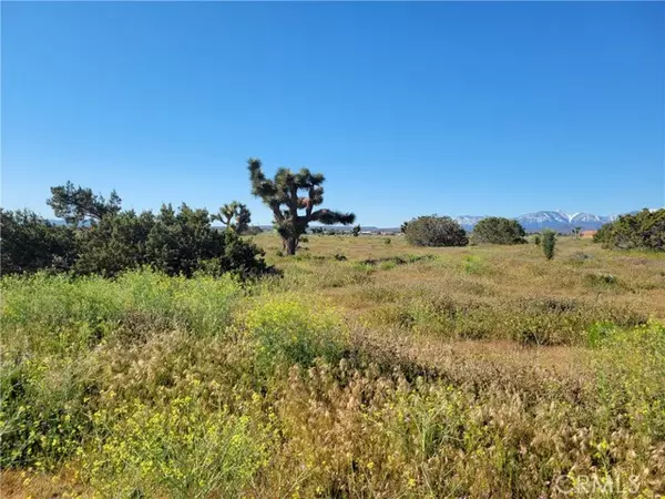 Phelan, CA 92371,0 Vinton Road