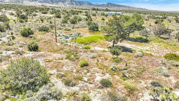 Pinon Hills, CA 92372,209 Highway 138