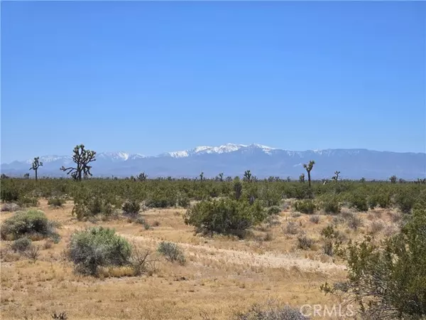 Adelanto, CA 92301,10 Beaver Avenue