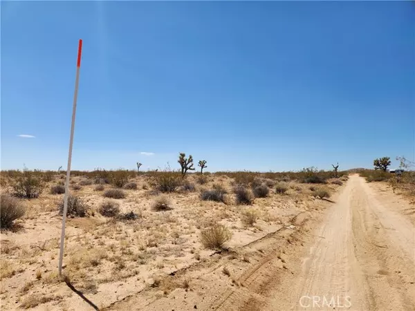 Joshua Tree, CA 92252,40 Joshua Tree