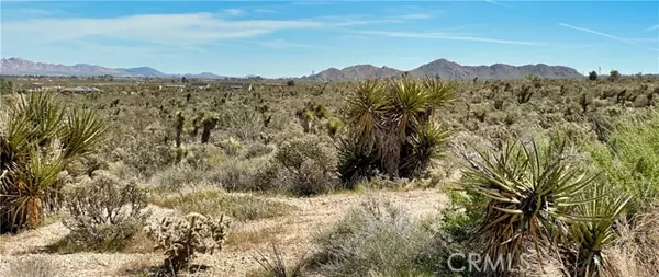 Lucerne Valley, CA 92356,0 Mountain View