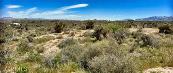 Lucerne Valley, CA 92356,0 Mountain View