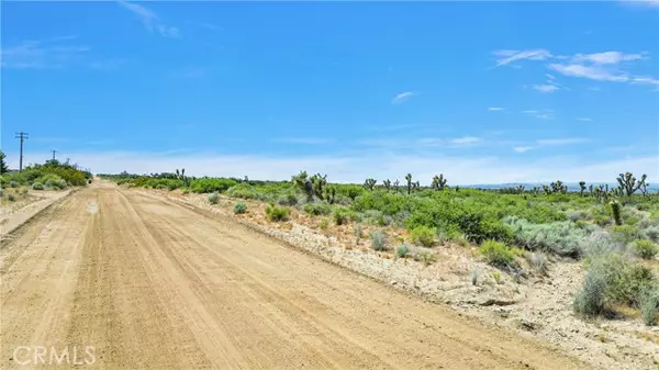 Llano, CA 93544,228 Vac/Cor Avenue