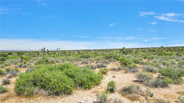 Llano, CA 93544,0 Fort Tejon