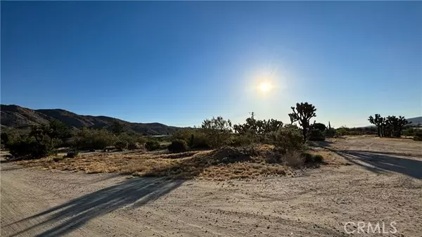 Yucca Valley, CA 92284,703 Scarvan Road