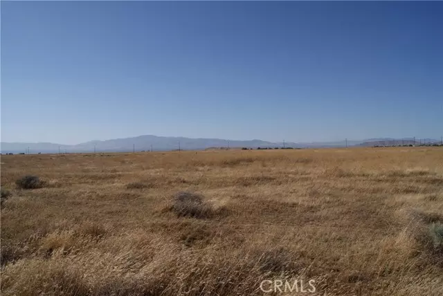 Antelope Acres, CA 93536,90 Stw