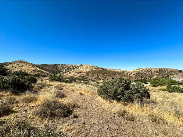 0 Big Springs Road, Agua Dulce, CA 91350