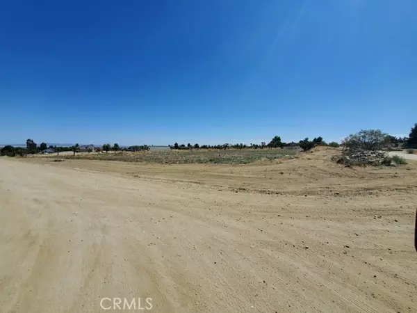 0 Buena Vista Rd, Pinon Hills, CA 92372