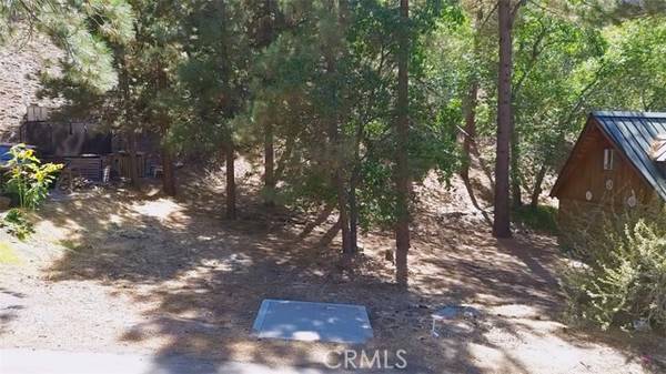 5462 Heath Creek Dr, Wrightwood, CA 92397