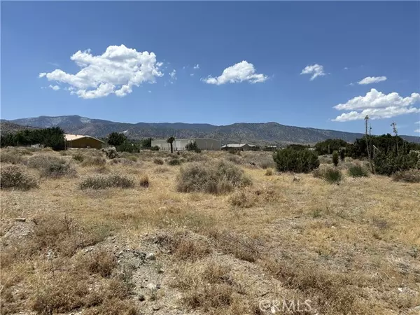 Pinon Hills, CA 92372,4 colfax