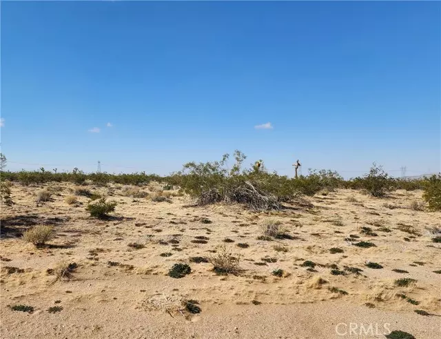 Lucerne Valley, CA 92356,500 Gazelle (near) Road