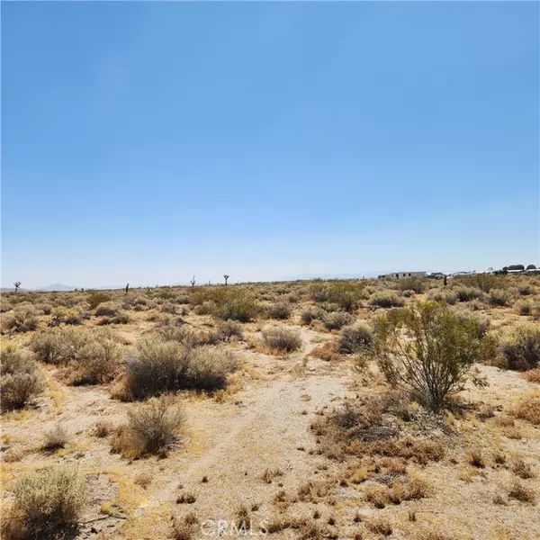 El Mirage, CA 92301,202 Shelly Road